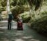 Allianz Partial and Permanent Disability