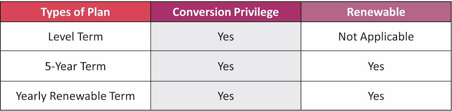 A-Life Protect Term Conversion Privilege and Renewable table